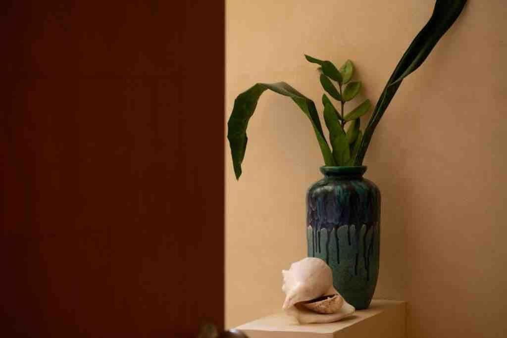Disfruta En La Casa De Lola / Enjoy At Lolas House Progreso  Extérieur photo