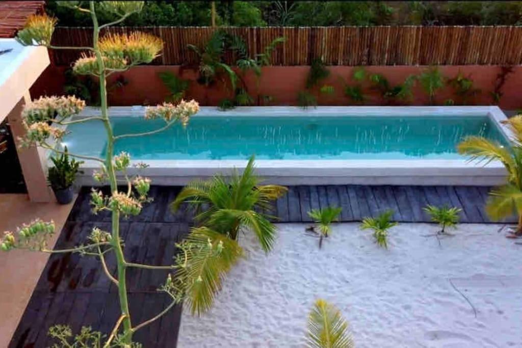 Disfruta En La Casa De Lola / Enjoy At Lolas House Progreso  Extérieur photo